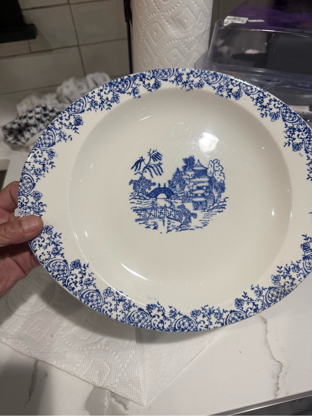Blue and white oval Willow platter/serving dish